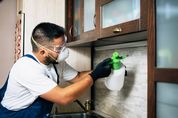 Best Pest Control for Restaurants  in Waynesboro, VA